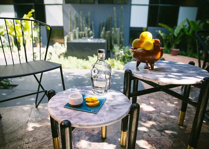 Ignacia Hotel México DF
